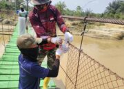 TNI Bangun Jembatan Perintis di Aceh Tamiang, Buka Akses dan Tingkatkan Kesejahteraan Warga