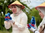 Panen Buah Naga di Sabang, Marlina Muzakir Ajak Warga Kembangkan Pertanian Produktif