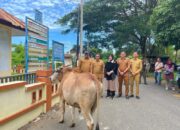 Wali Kota Banda Aceh Salurkan Qurban Iduladha 1447 H, Sasar Dayah hingga Warga Terdampak Bencana