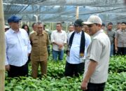 Mentan Apresiasi Kinerja Pemerintah Aceh, Janji Terus Dukung Pengembangan Pertanian dan Kopi Gayo