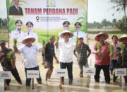 Pimpin Tanam Padi Perdana Pasca Bencana, Sekda Aceh : Jaga Stabilitas Pangan Tetap Aman