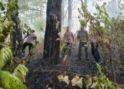 Quick Response Brimob Polda Aceh Tangani Kebakaran Hutan di Lembah Seulawah