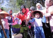 Peringati Hari Anak Nasional 2026, Illiza Ajak Ratusan Anak PAUD Belajar dari Alam di Hutan Kota Banda Aceh