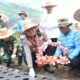 Dukung Swasembada Pangan, Kapolda Tanam Bawang Putih di Aceh Tengah