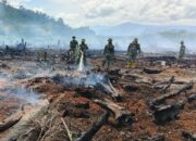 Hari Kedua Penanganan Karhutla di Aceh Selatan, TNI dan BPBD Fokus Pendinginan Lahan Gambut
