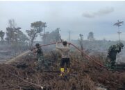 Tim Gabungan Kembali Bergerak, Padamkan Titik Asap Karhutla di Gampong Drien