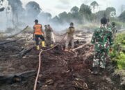Hari Ketujuh, TNI dan Tim Gabungan Terus Kendalikan Karhutla di Ujung Mangki