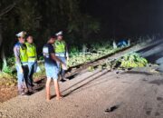 Adu Kecepatan di Lampulo, Dua Sepmor Bertabrakan, Satu Pelajar Tewas