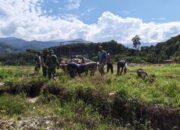 TNI dan Warga Bahu Membahu Percepat Pembangunan Jembatan Gantung Perintis di Aceh Tenggara