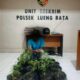 Tanam Ganja di Pekarangan Rumah Warga, Pria di Banda Aceh Diamankan Polisi, 16 Polybag Disita